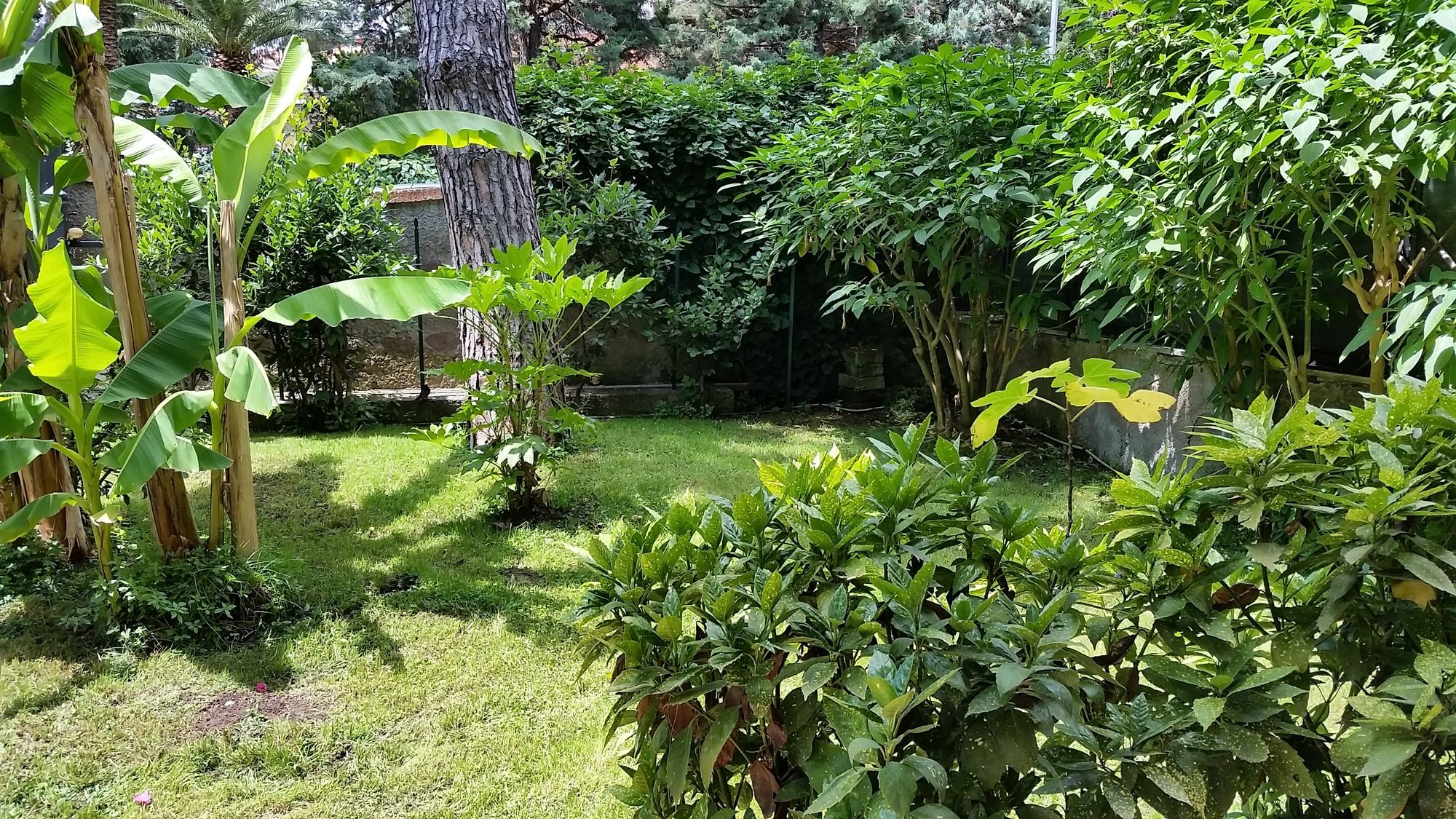 Фото Il Giardino di Giulia 2