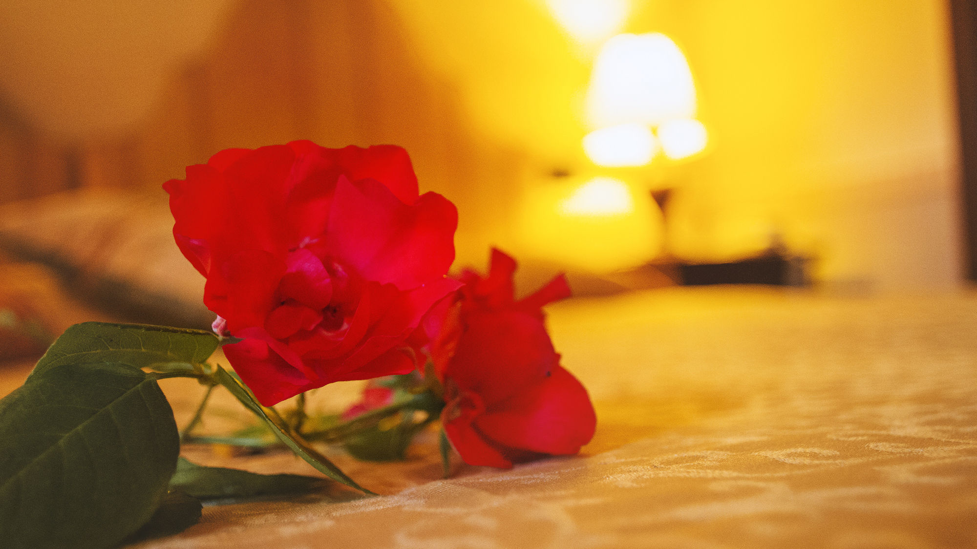 Фото Relais Parco Fiorito & SPA - Agriturismo, Ristorante e Fattoria Didattica