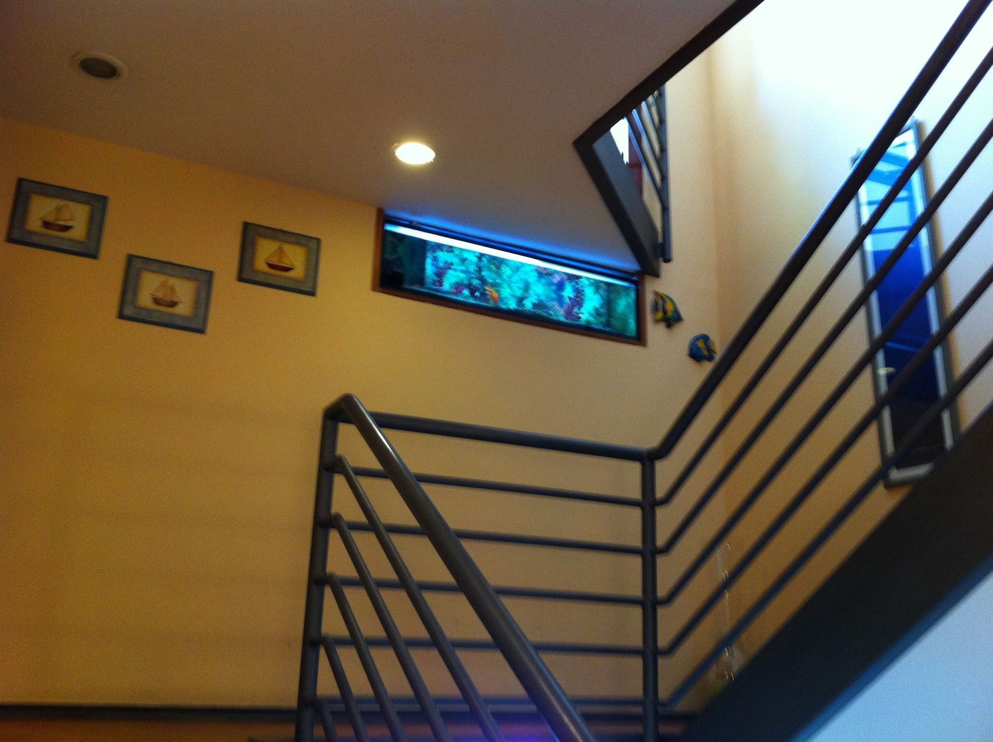 Фото Hotel Potenza