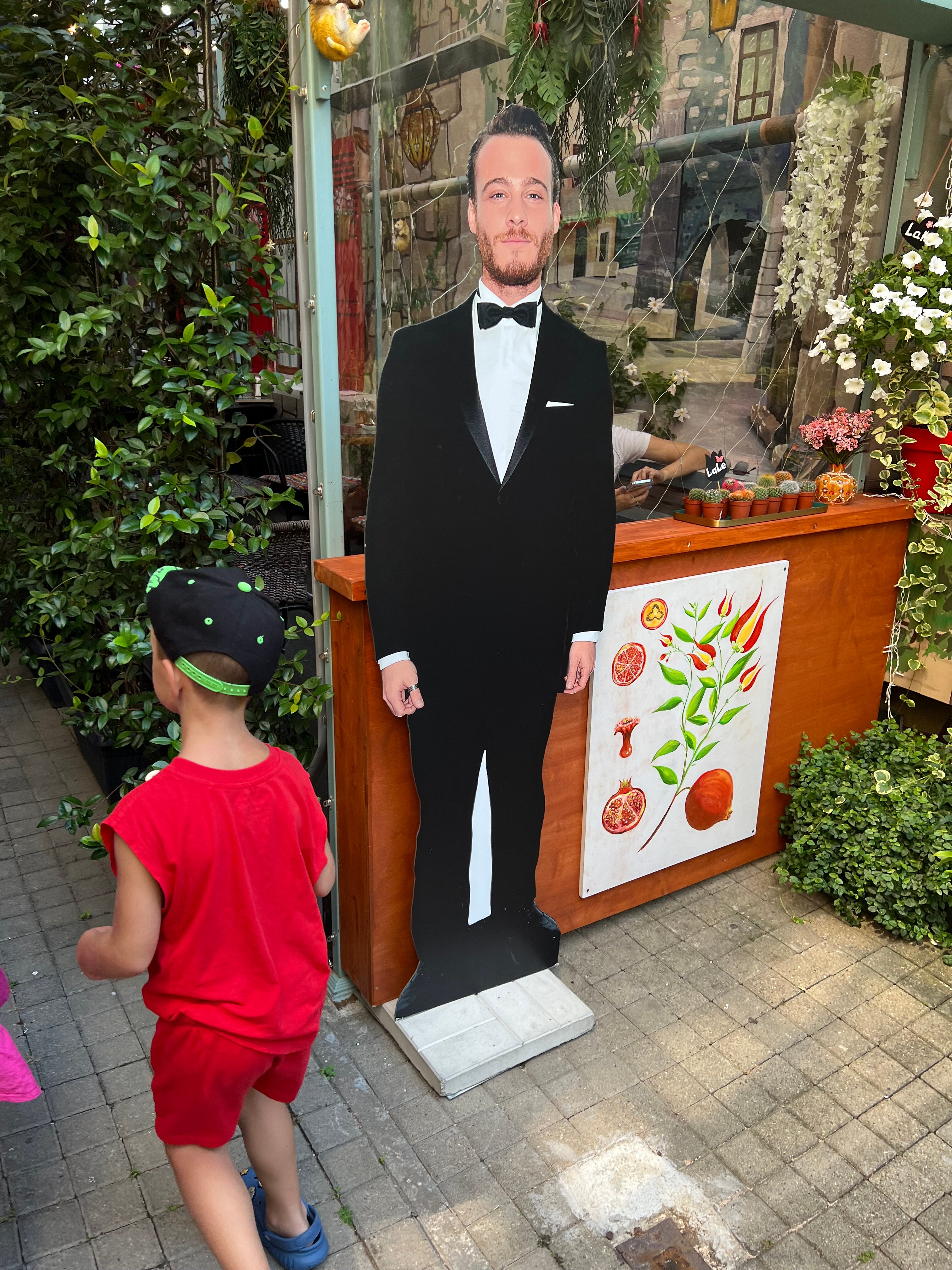 Фото Мангостин