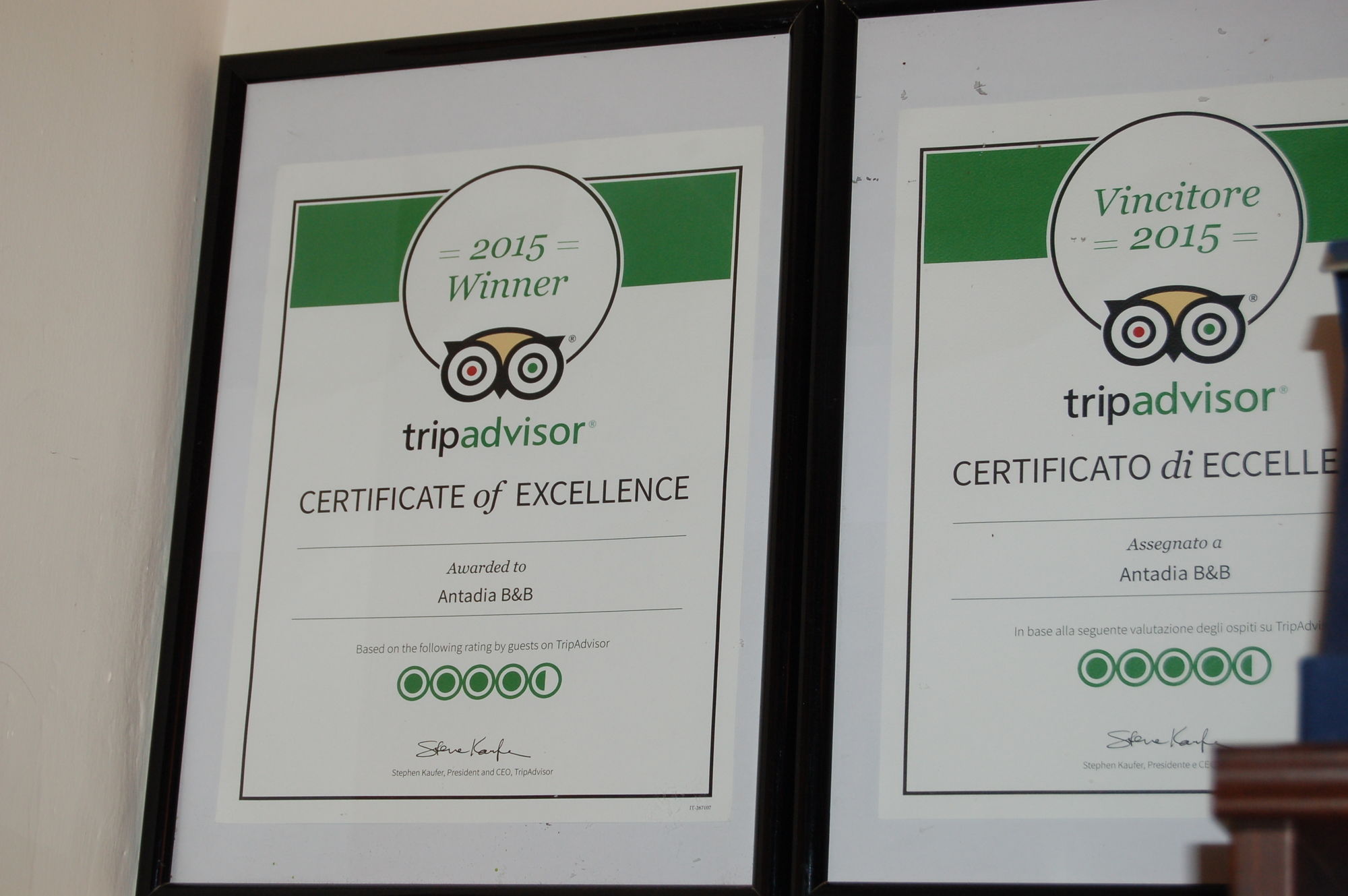 Фото Antadia B&b