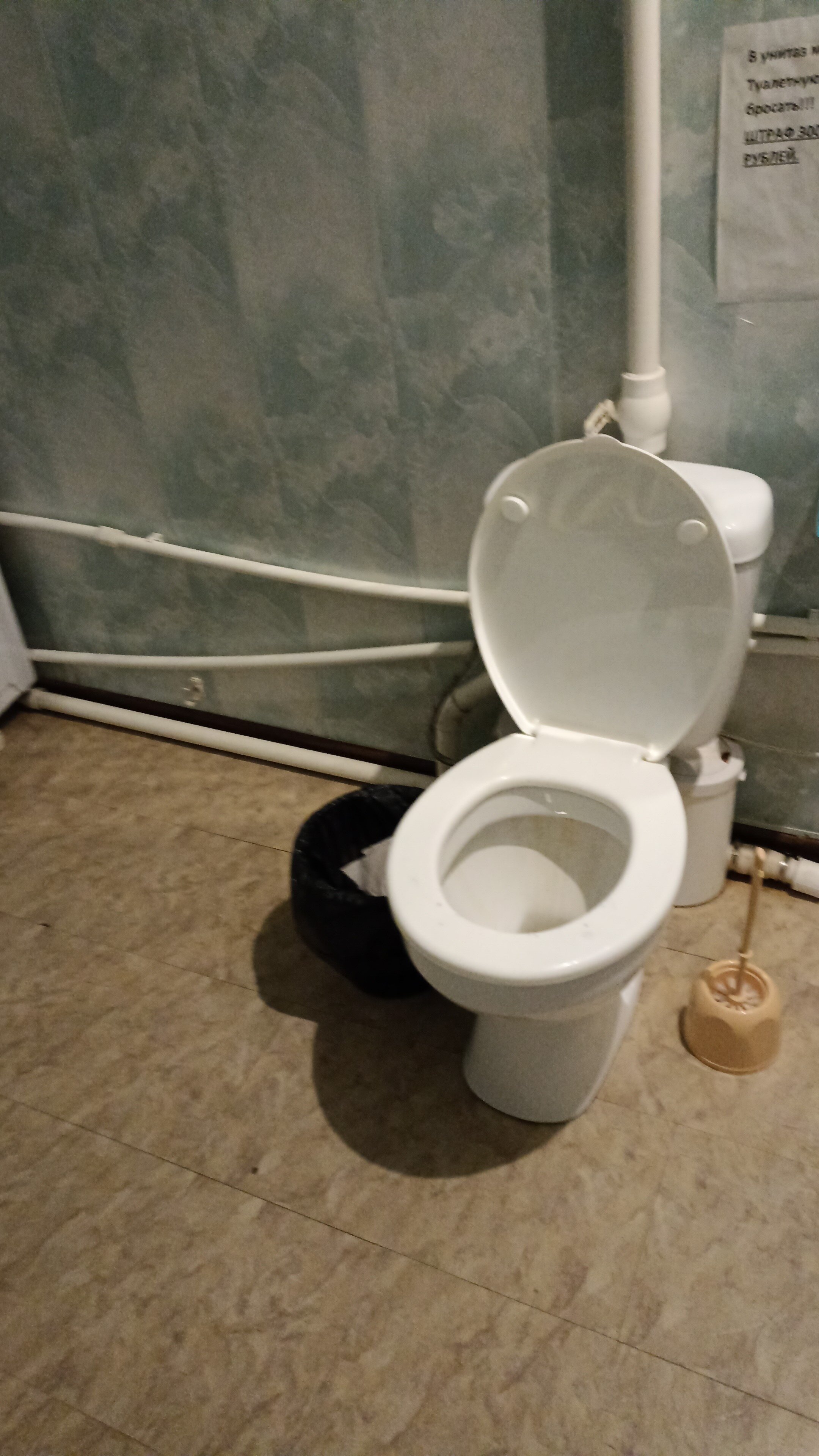 Фото Золотая рыбка