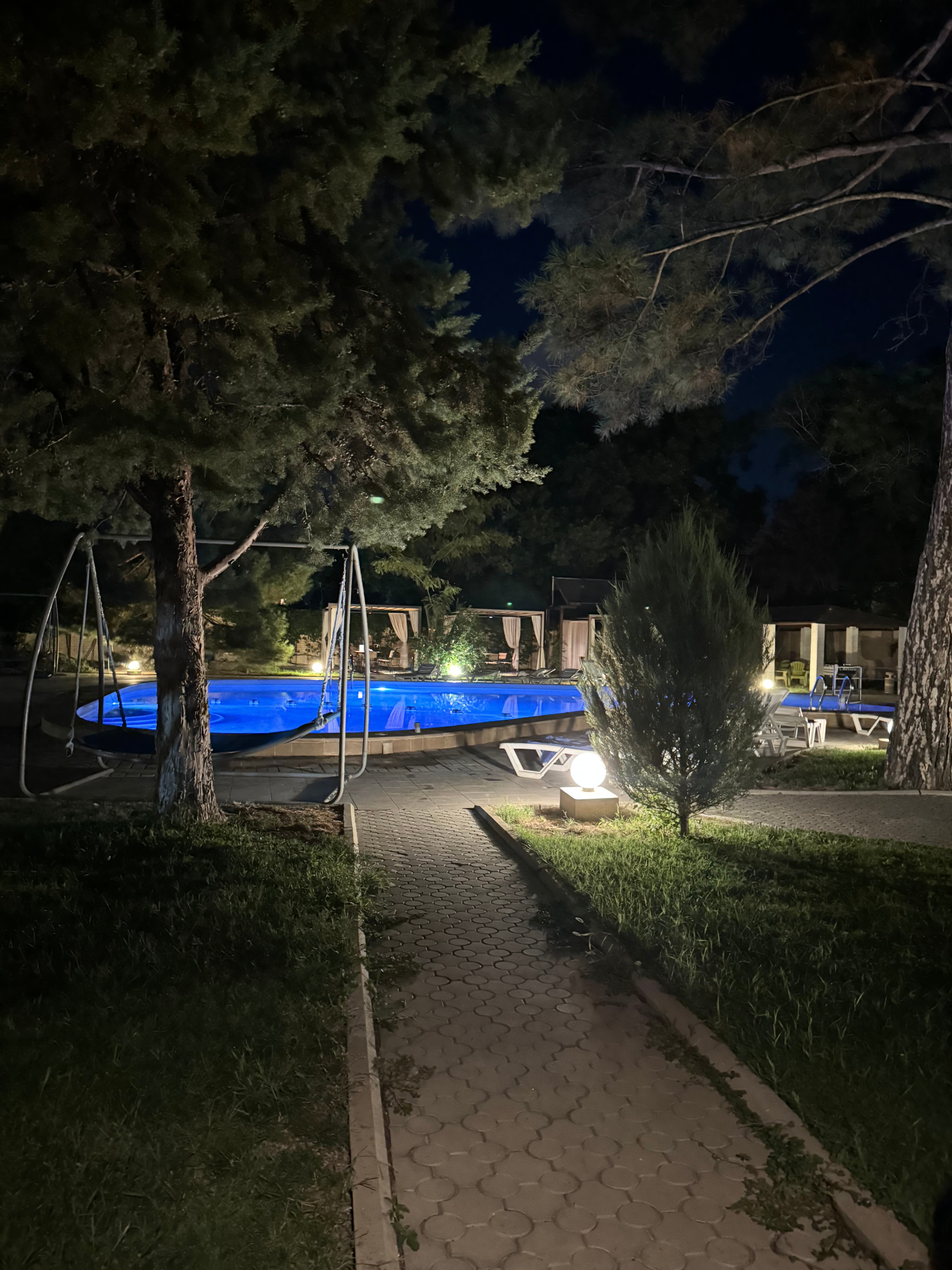 Фото Морской конек