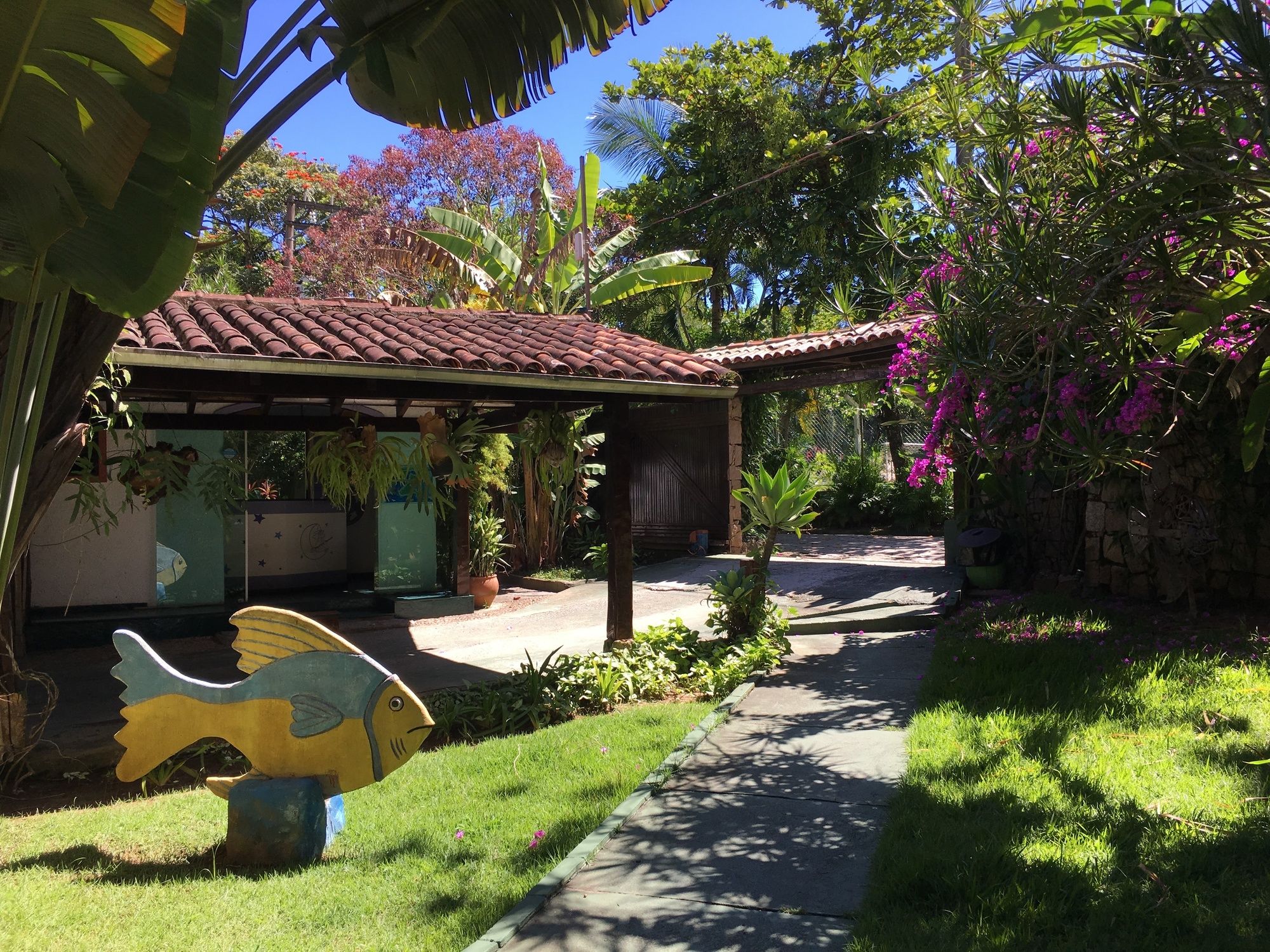 Фото Feiticeira Praia Hotel