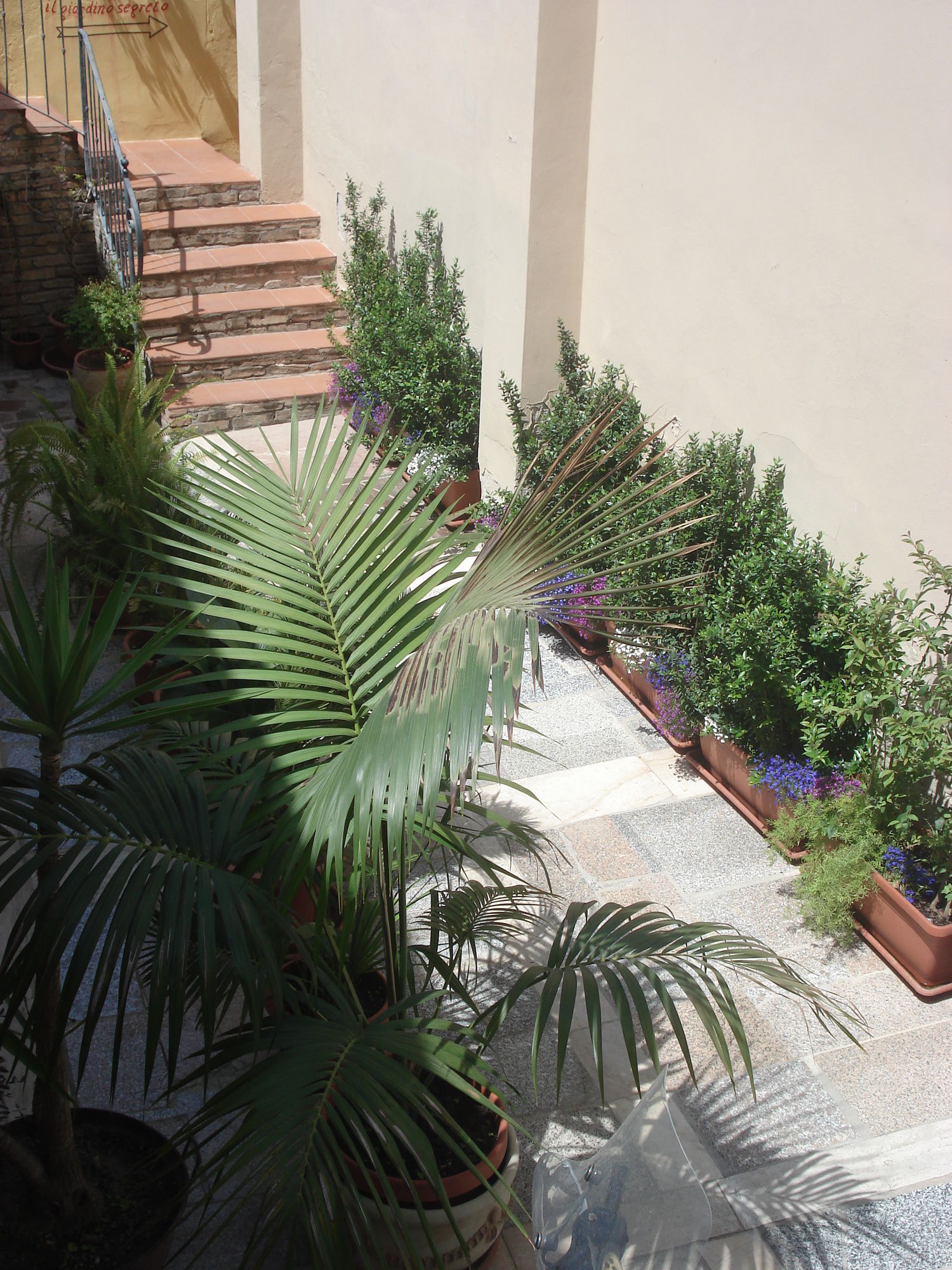 Фото Guest House Il Giardino Segreto