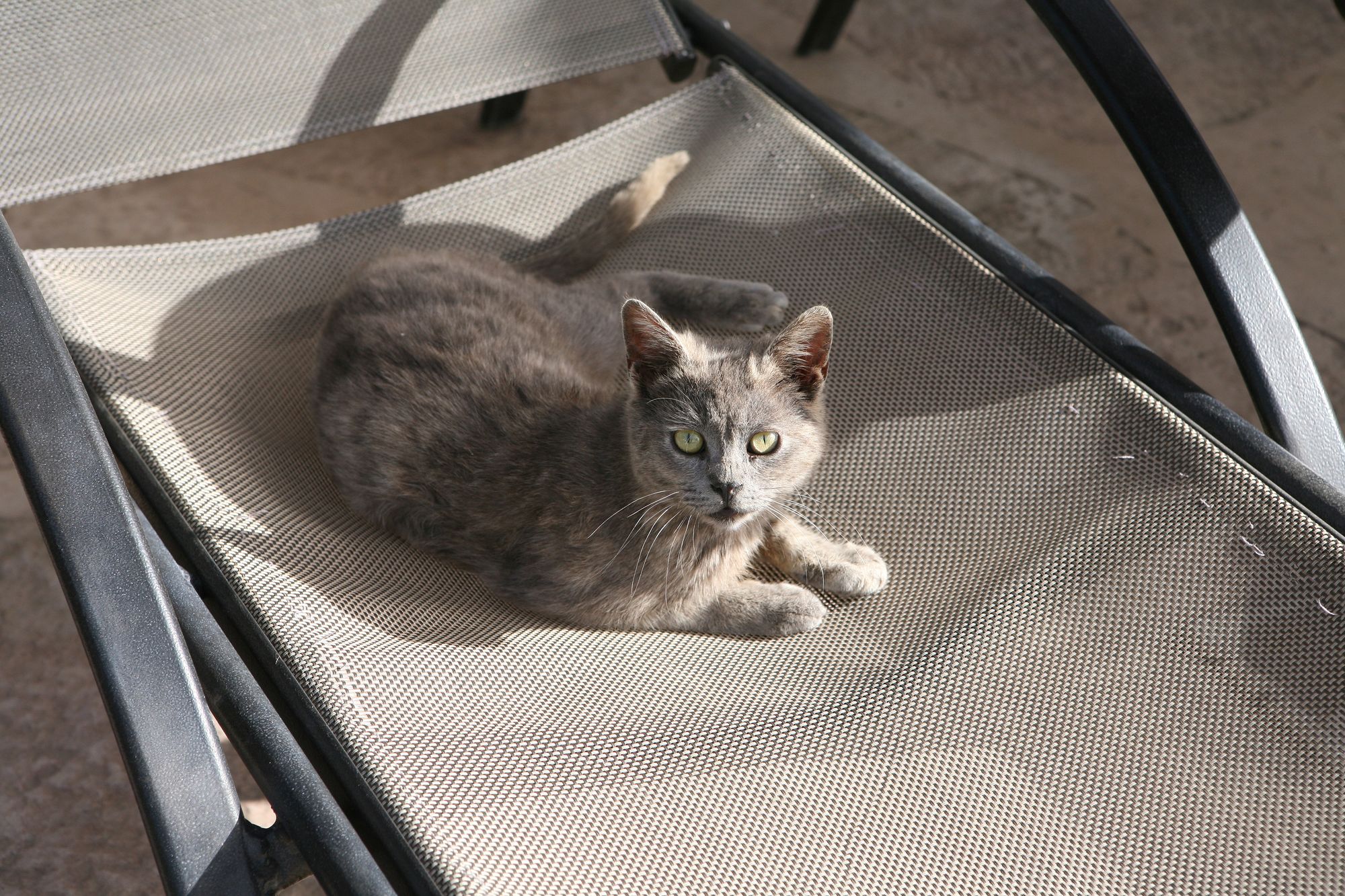 Фото Club Aphrodite