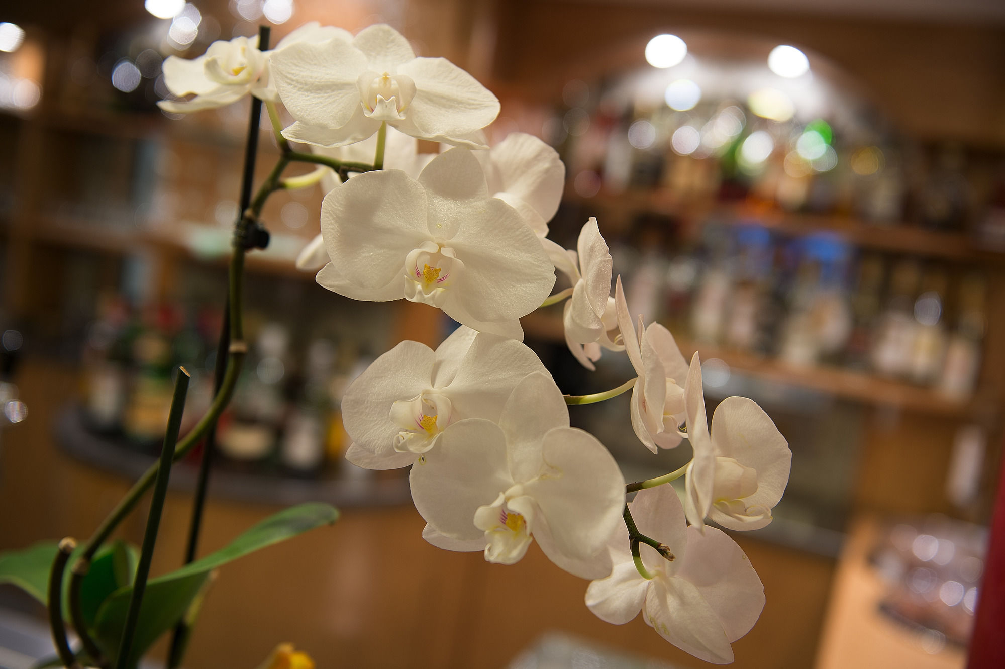 Фото Hotel St. Michael