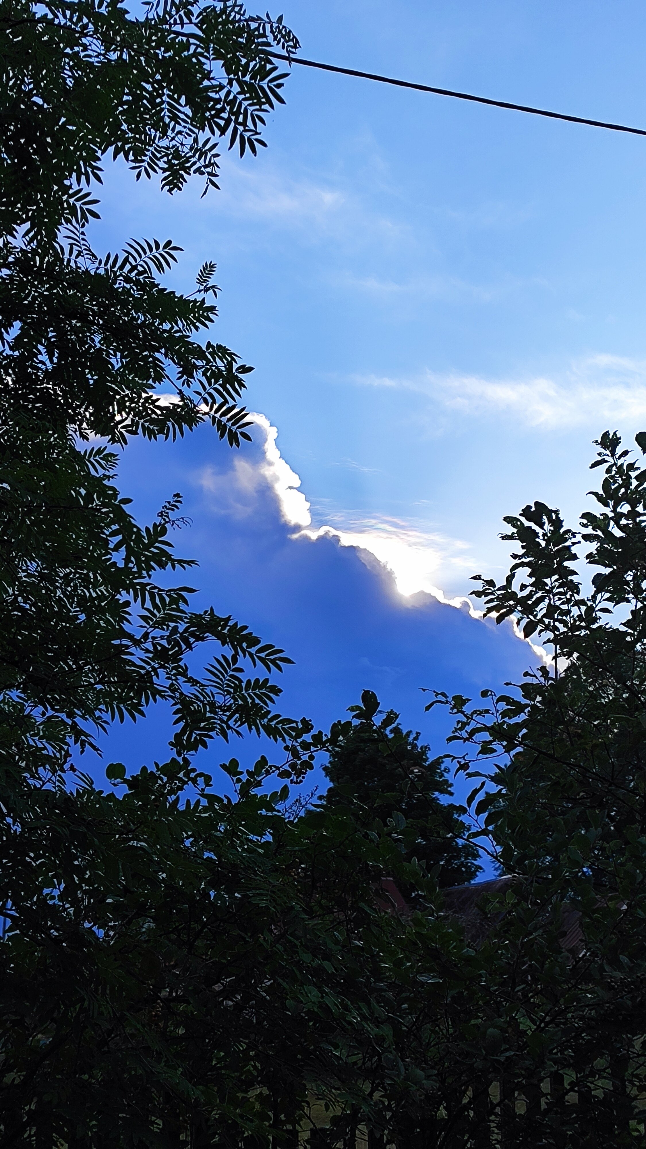 Фото Шиловка