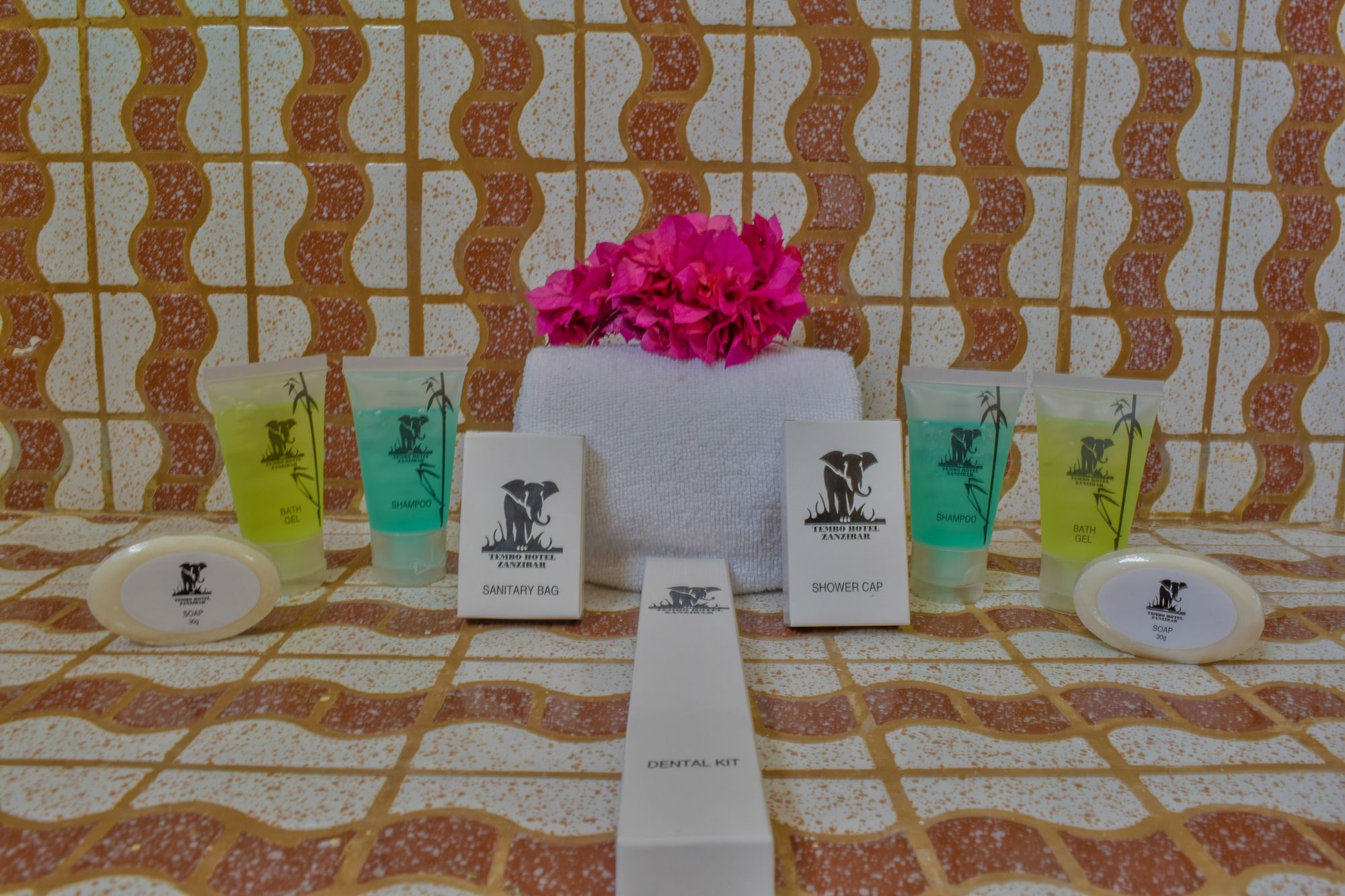 Фото Tembo Hotel