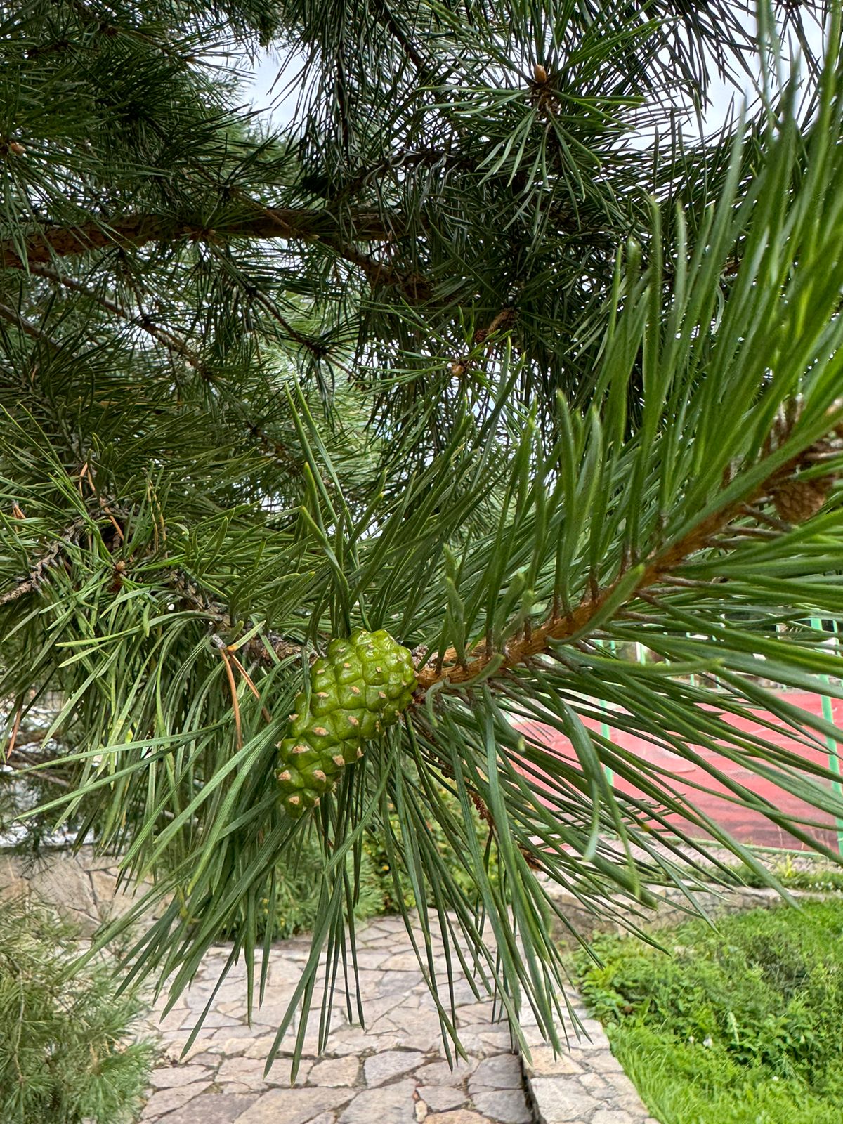 Фото Уральский двор