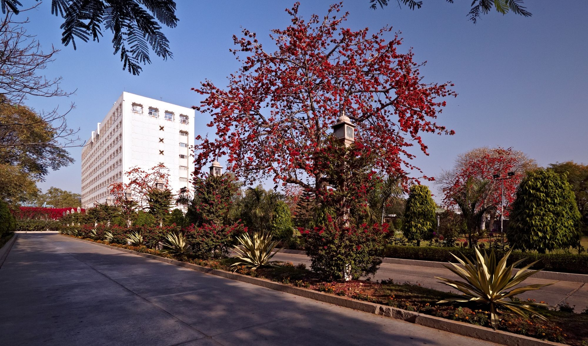 Фото Clarks Amer