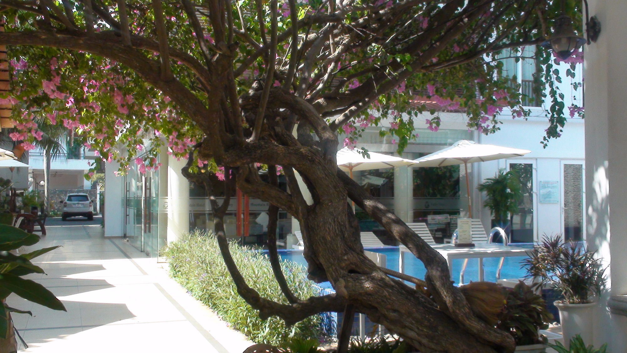 Фото 178835307670