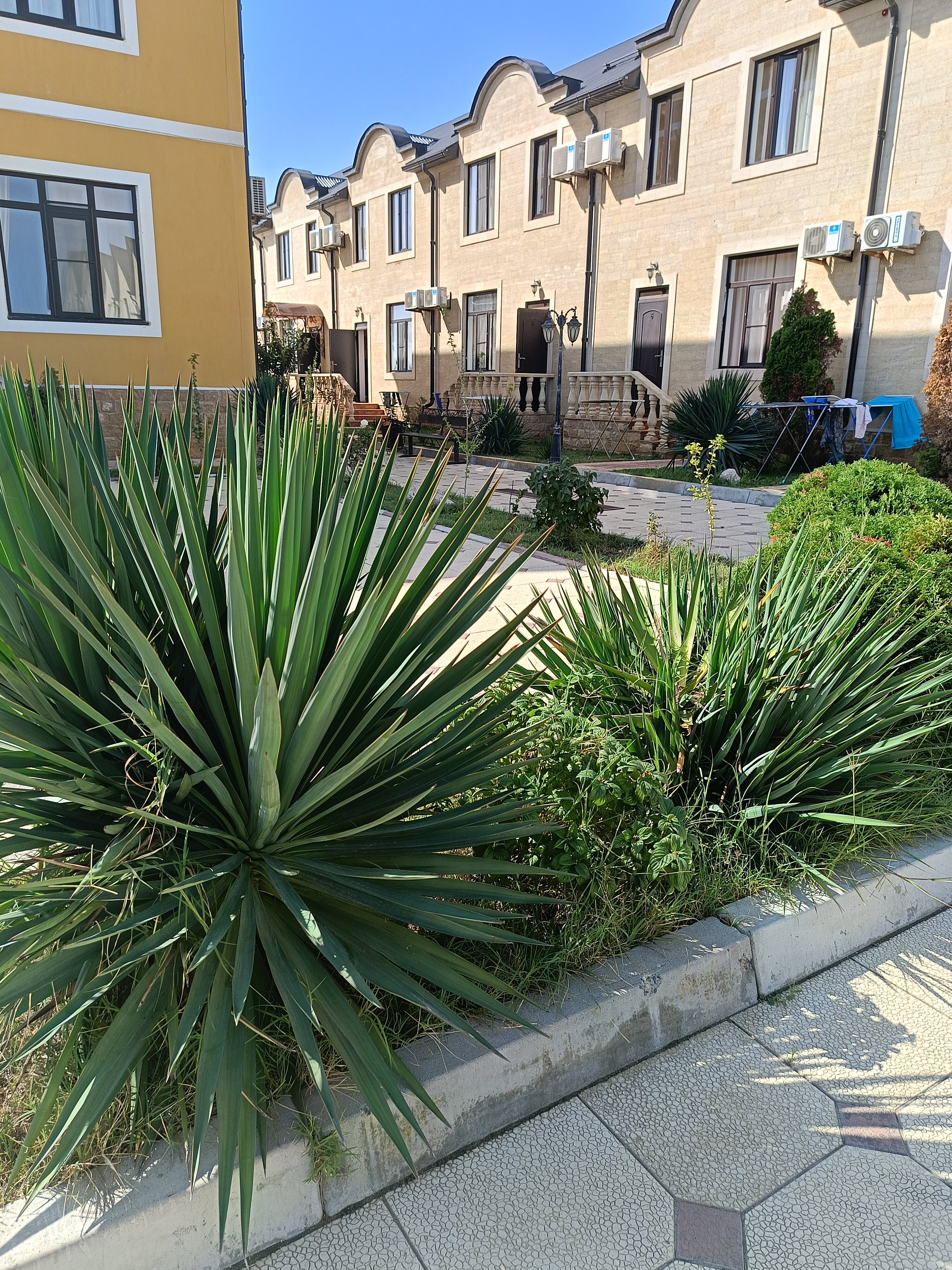 Фото Calipso Palace