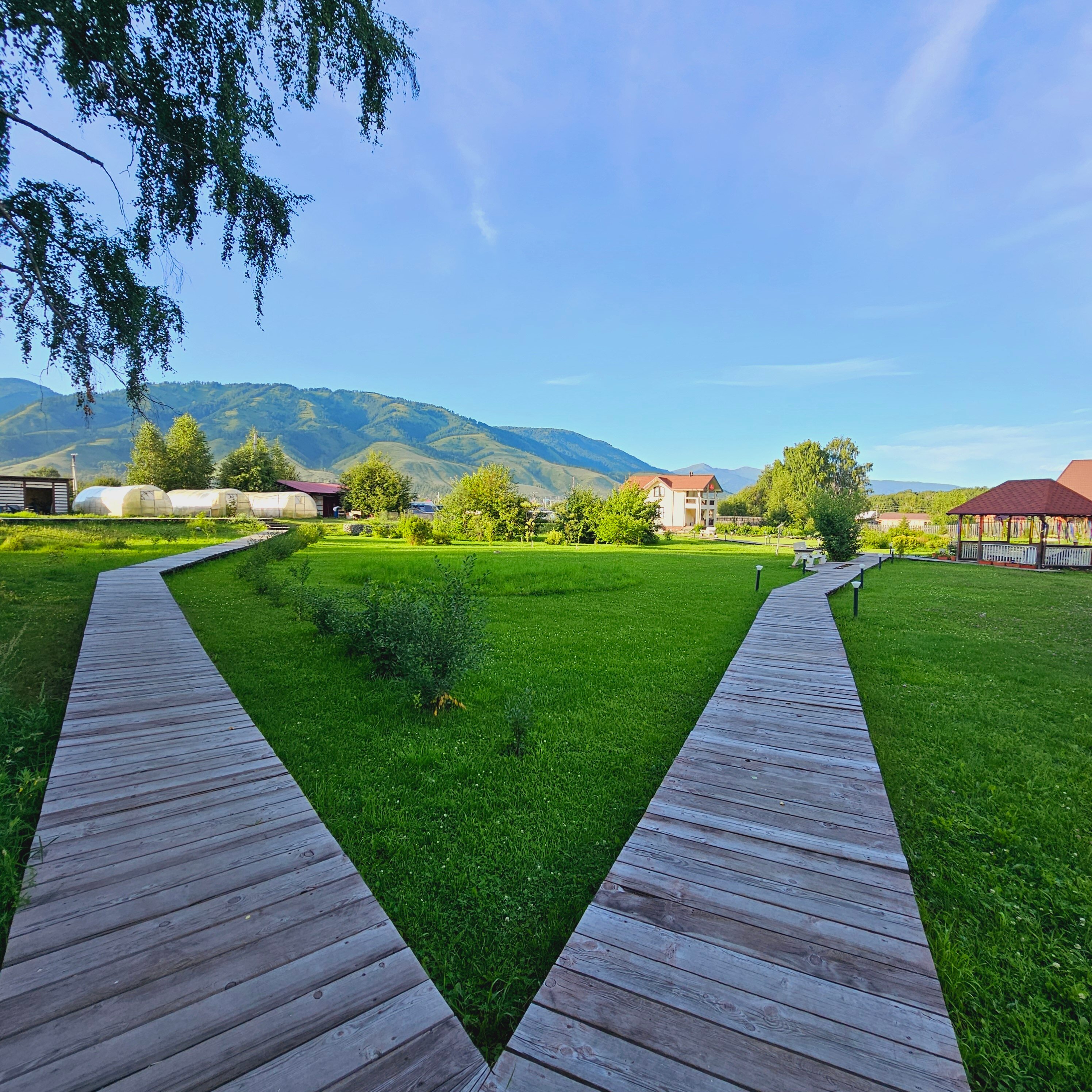 Фото Альтаир