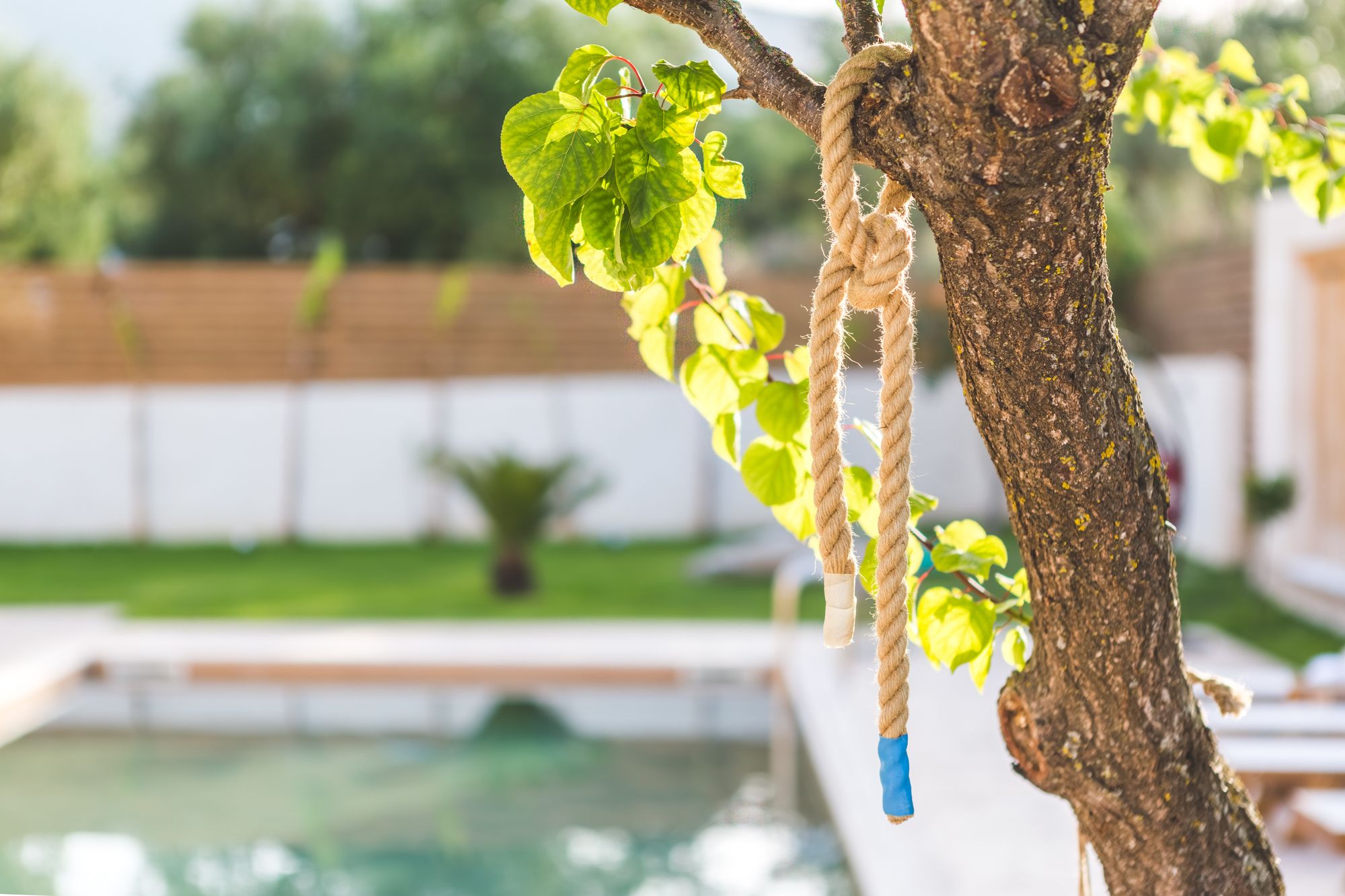 Фото Bruma Luxury Residence