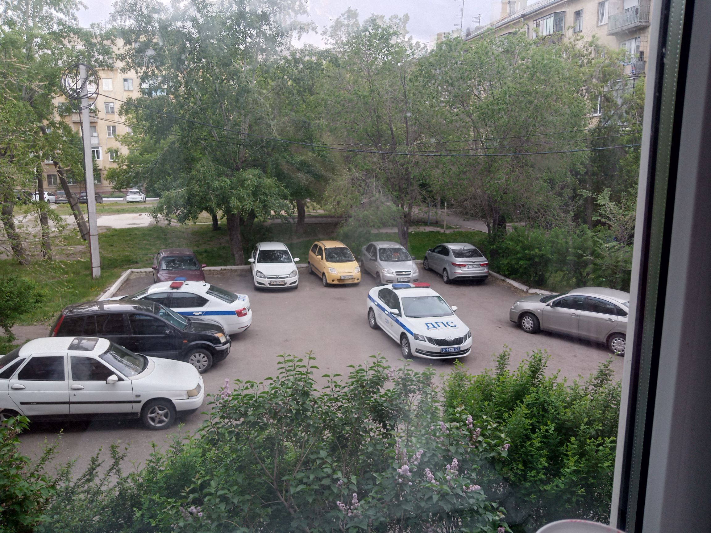 Фото Сильвер сити