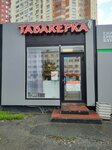 Табакерка (Kosmonavtov Avenue, 23к2), tobacco and smoking accessories shop