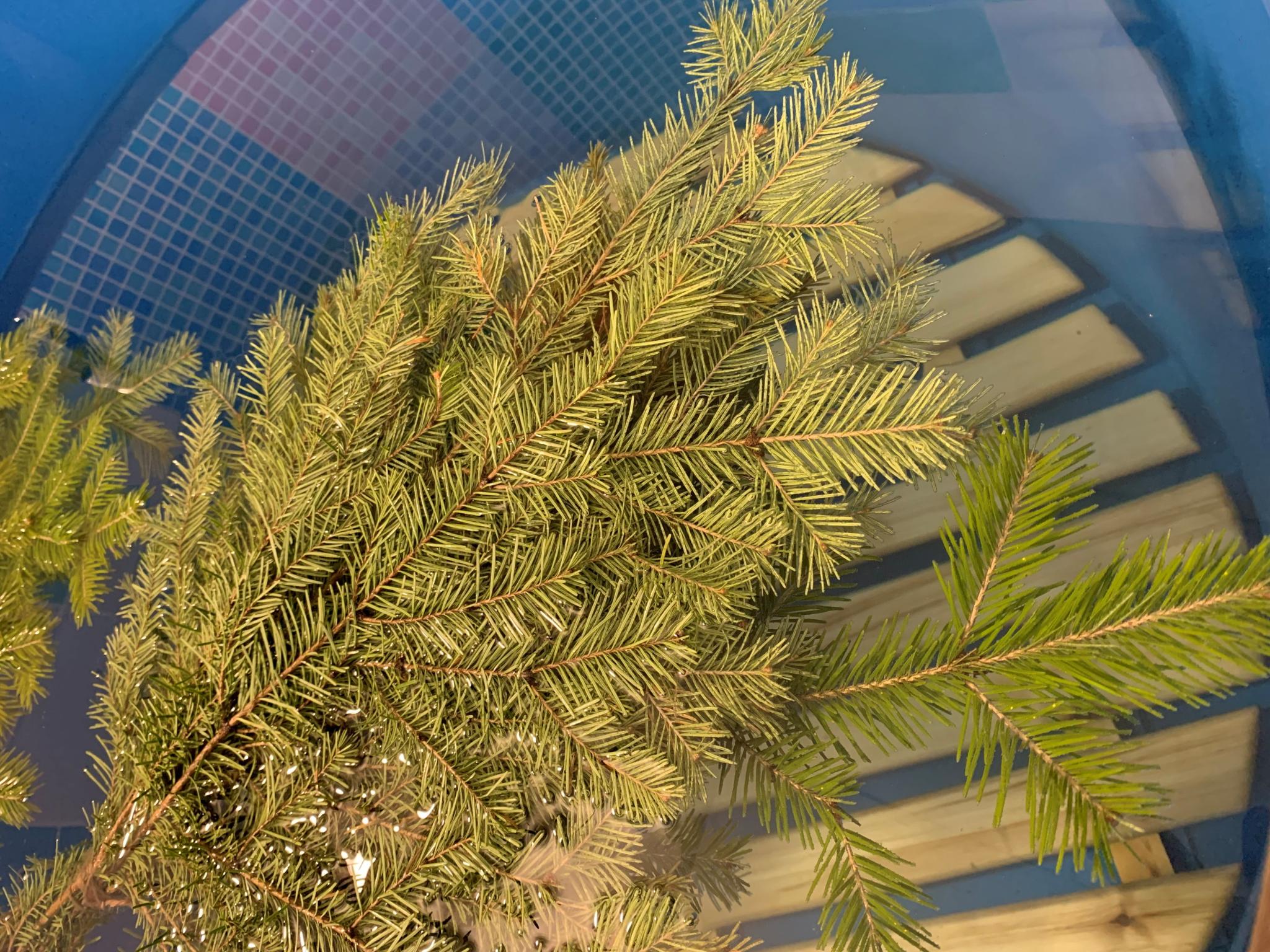 Фото Компас