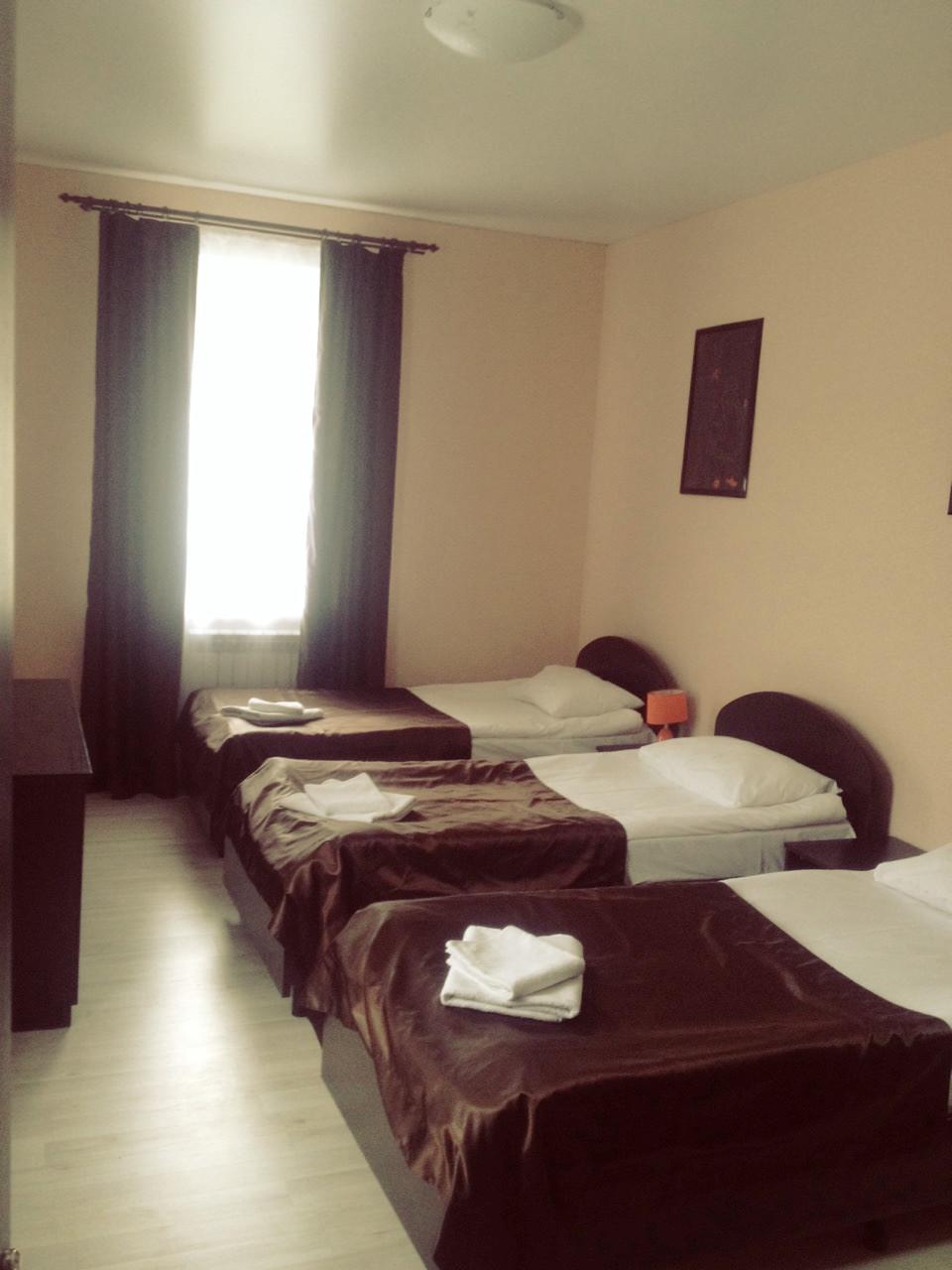 Фото Базилик