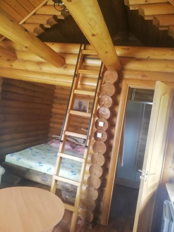 Фото Лесная сказка