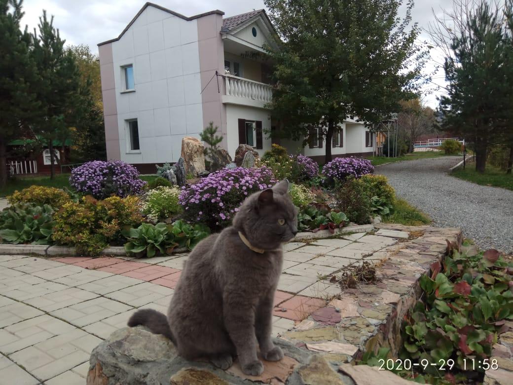 Фото Колибри