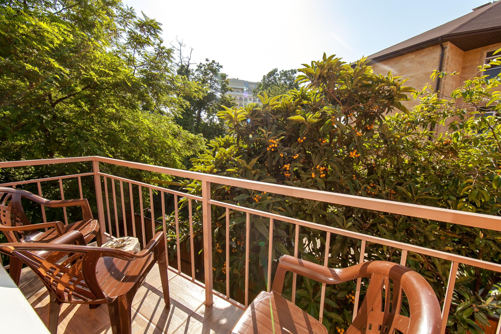 Фото Счастливый Слон