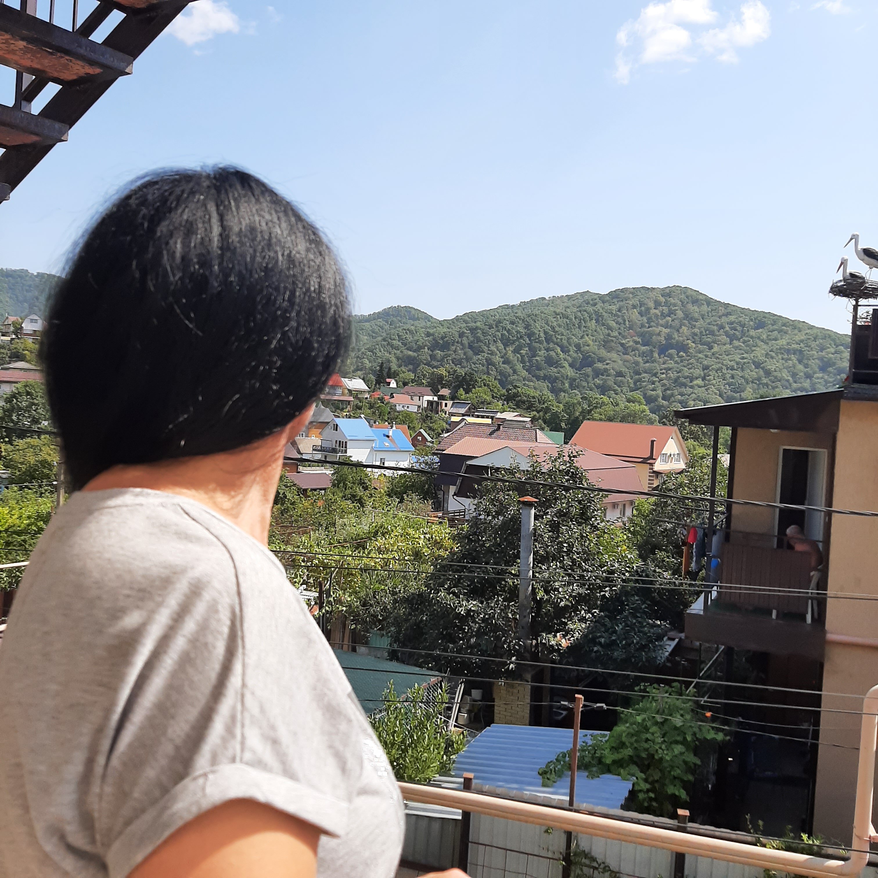 Фото Колибри