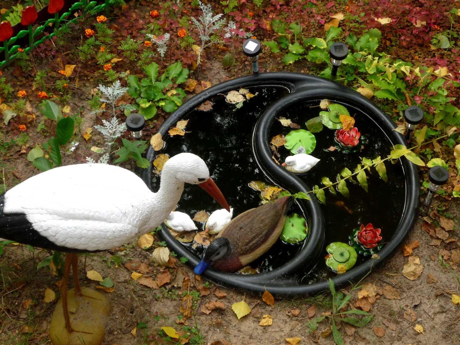 Фото Жемчужина Сухоны