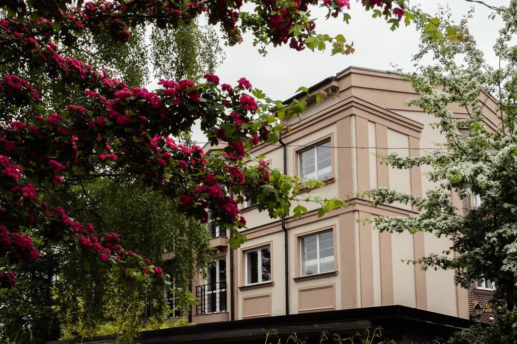 Фото Элиза Бонапарт