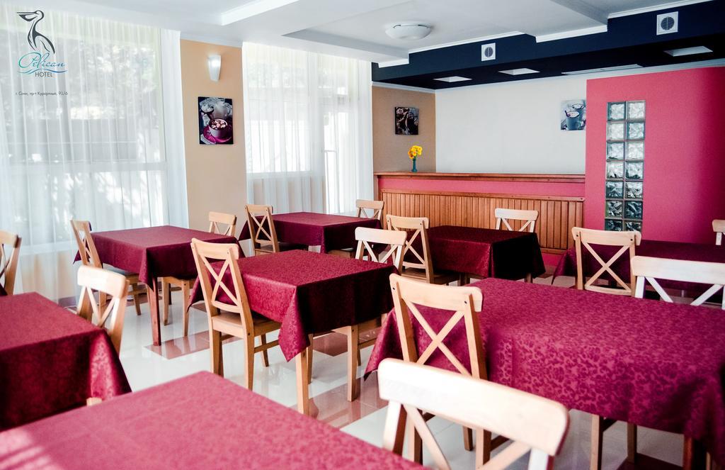 Фото Пеликан