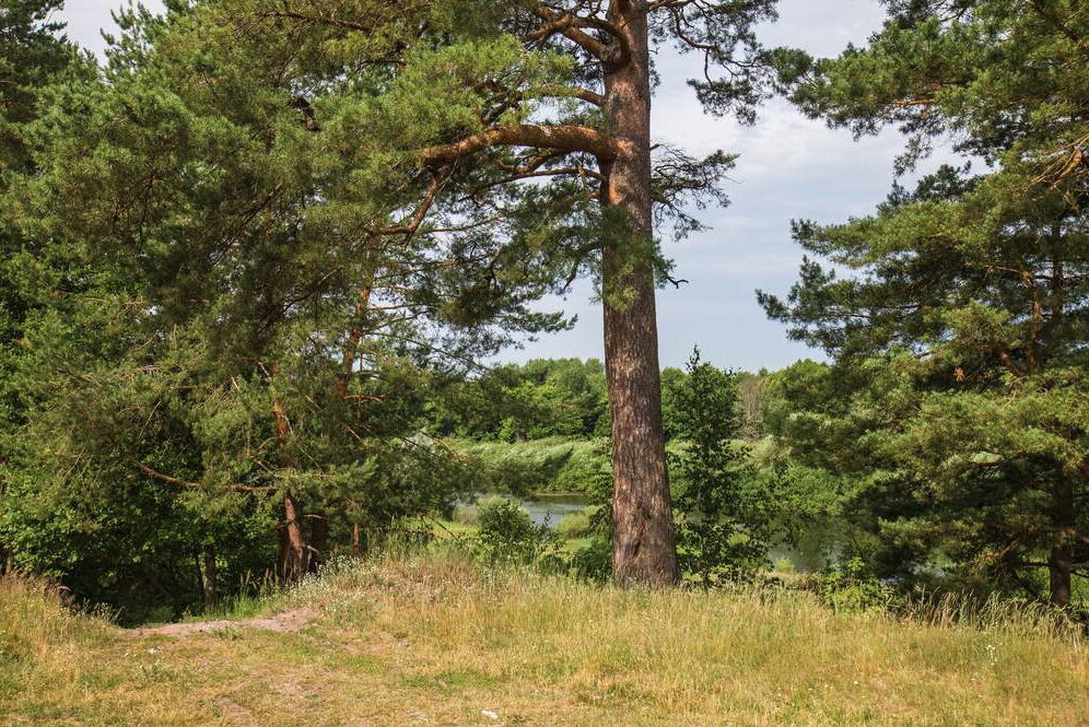 Фото Славянка