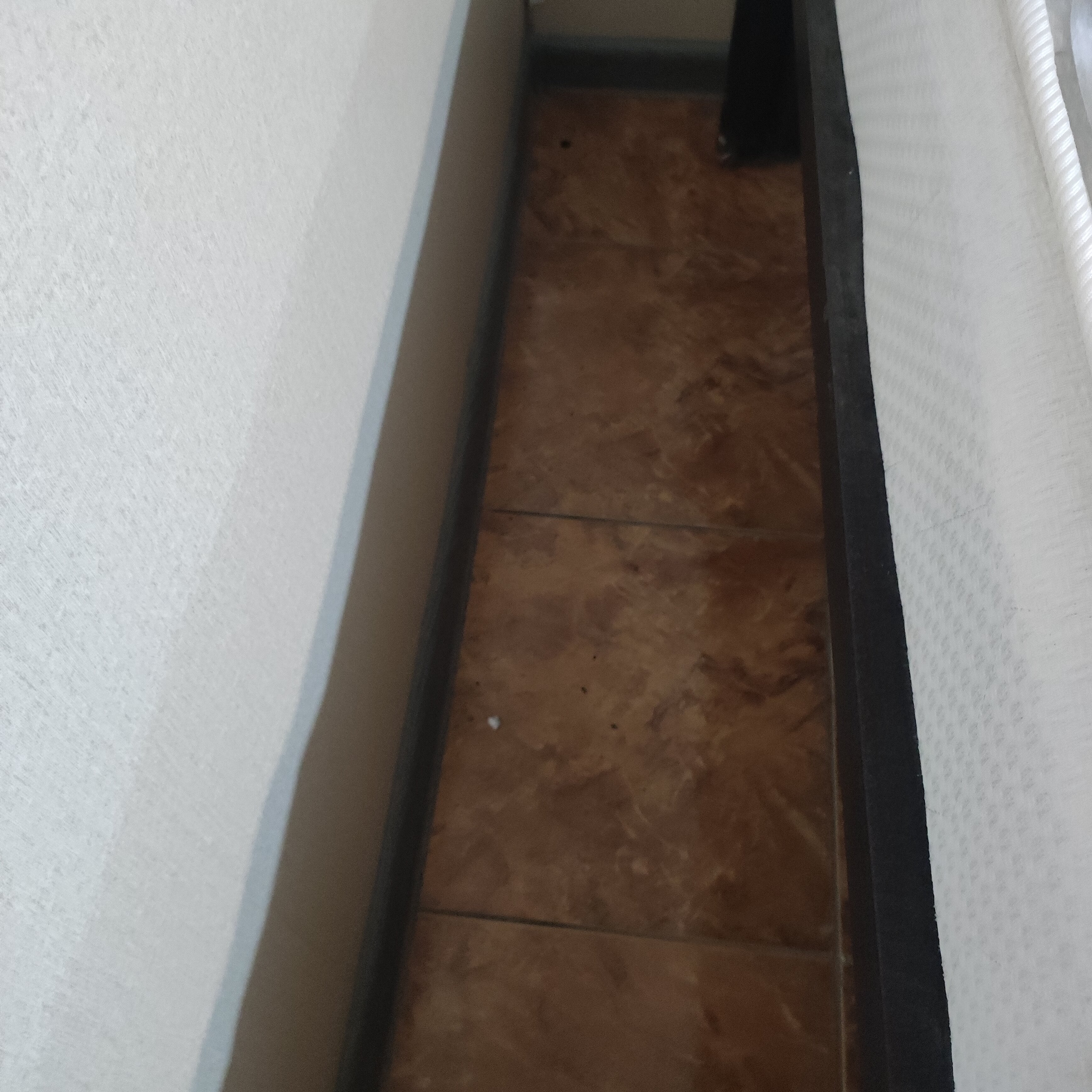 Фото Экодомики