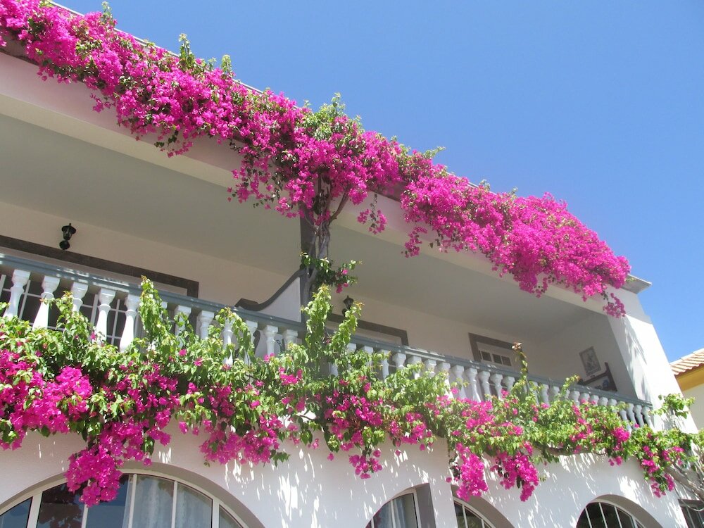 Фото Apartments Vista Oceano