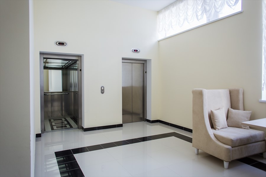 Фото Белое Дерево