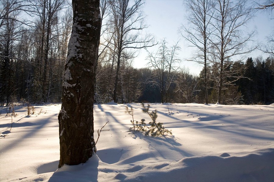 Фото Родники