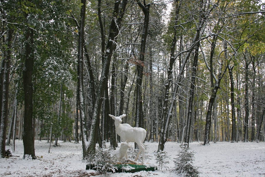 Фото Амакс Ершово