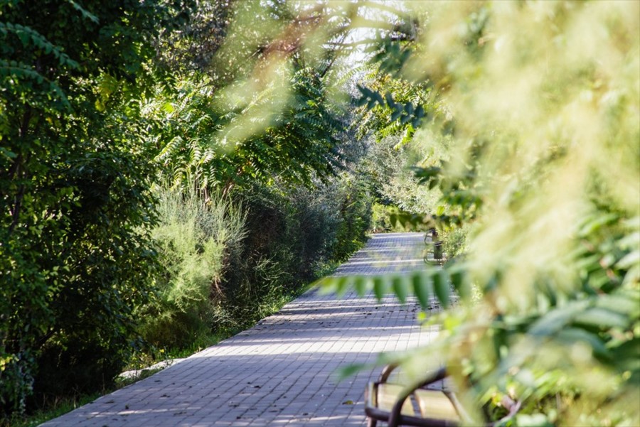 Фото Солнечная долина