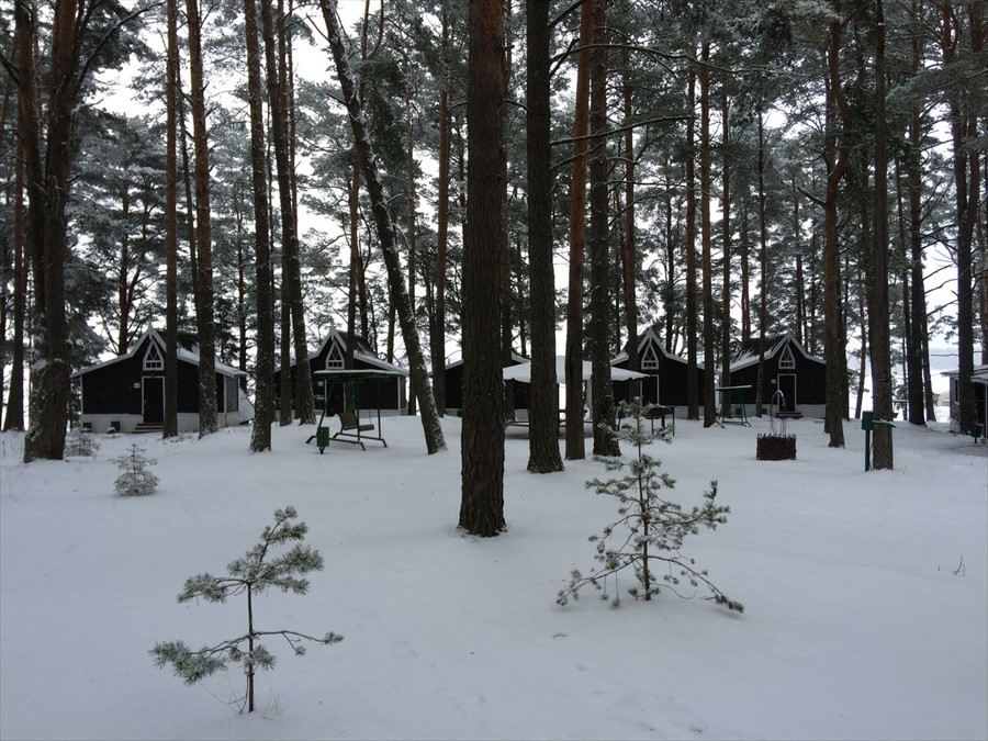 Фото Лукоморье