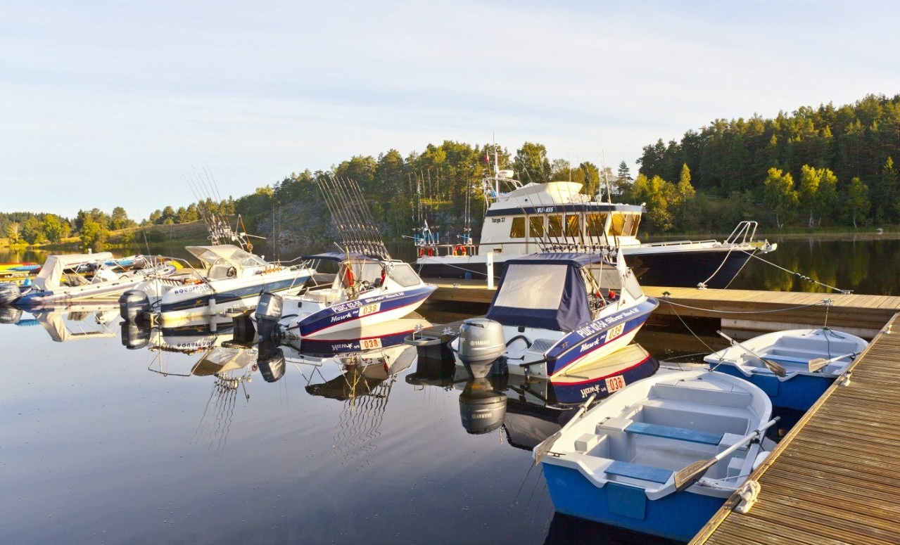 Фото Ладожская усадьба