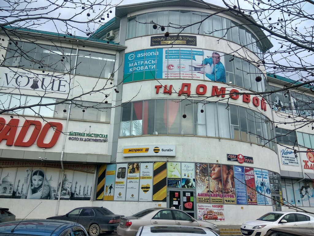 Торговый центр Домовой, Абинск, фото
