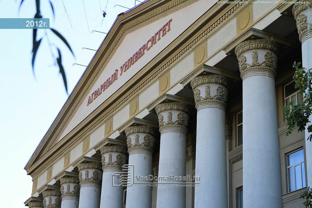 Волгоград Схи Магазин