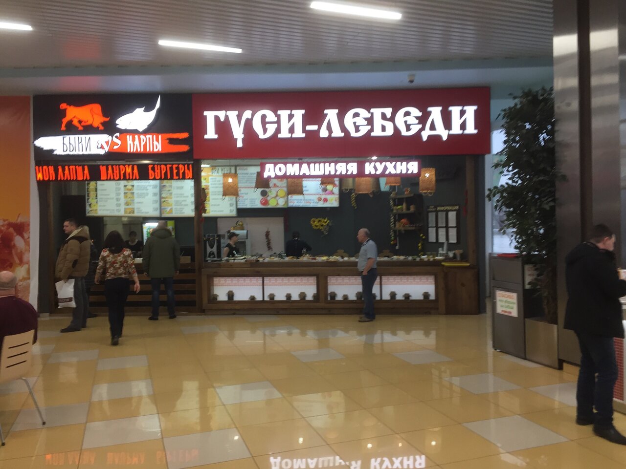 Кафе лебедь пенза на ударной