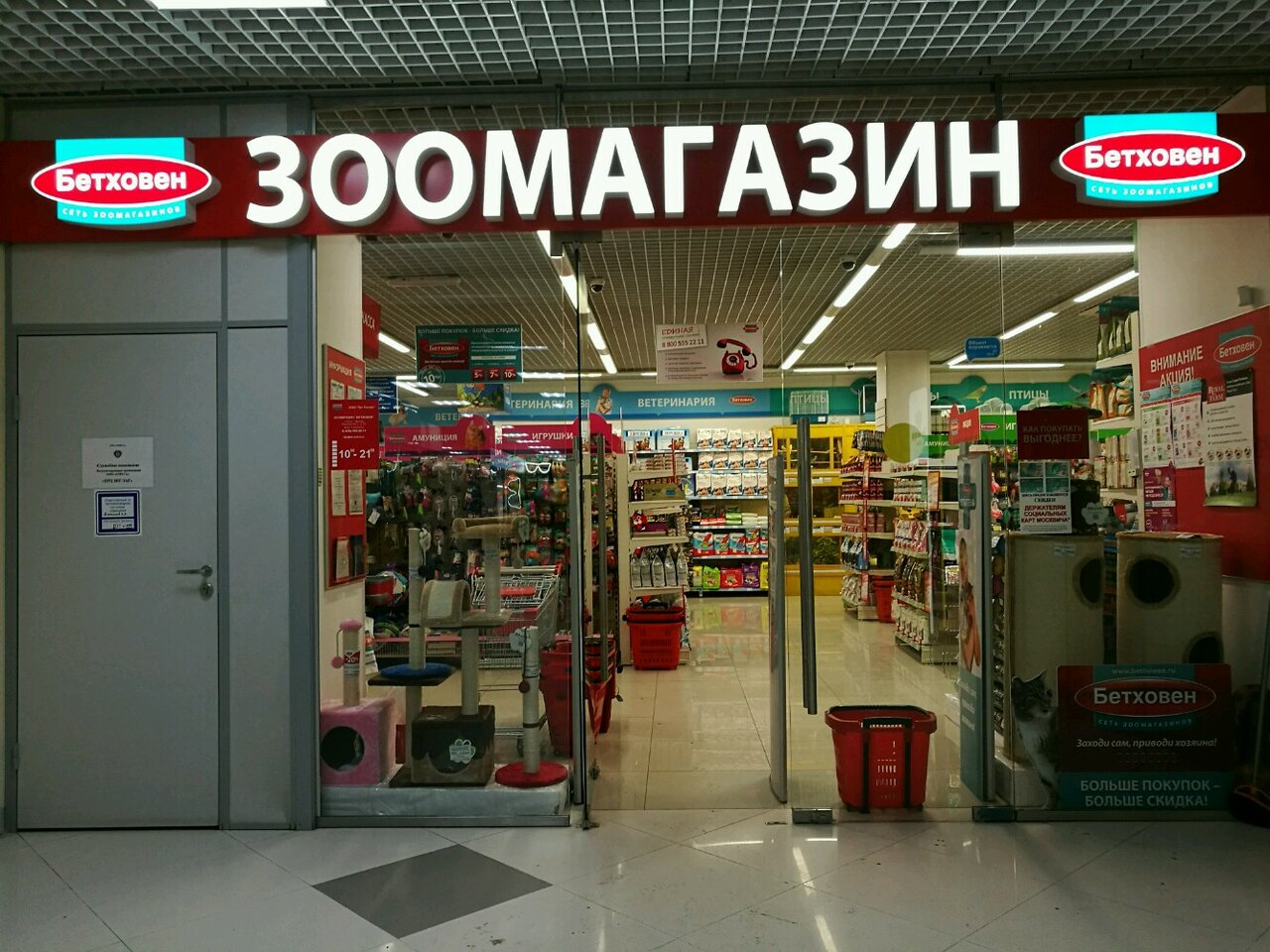 Зоо Бетховен Интернет Магазин