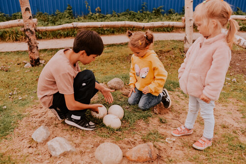 Отдых на ферме Мурманская страусиная ферма в Кильдинстрое