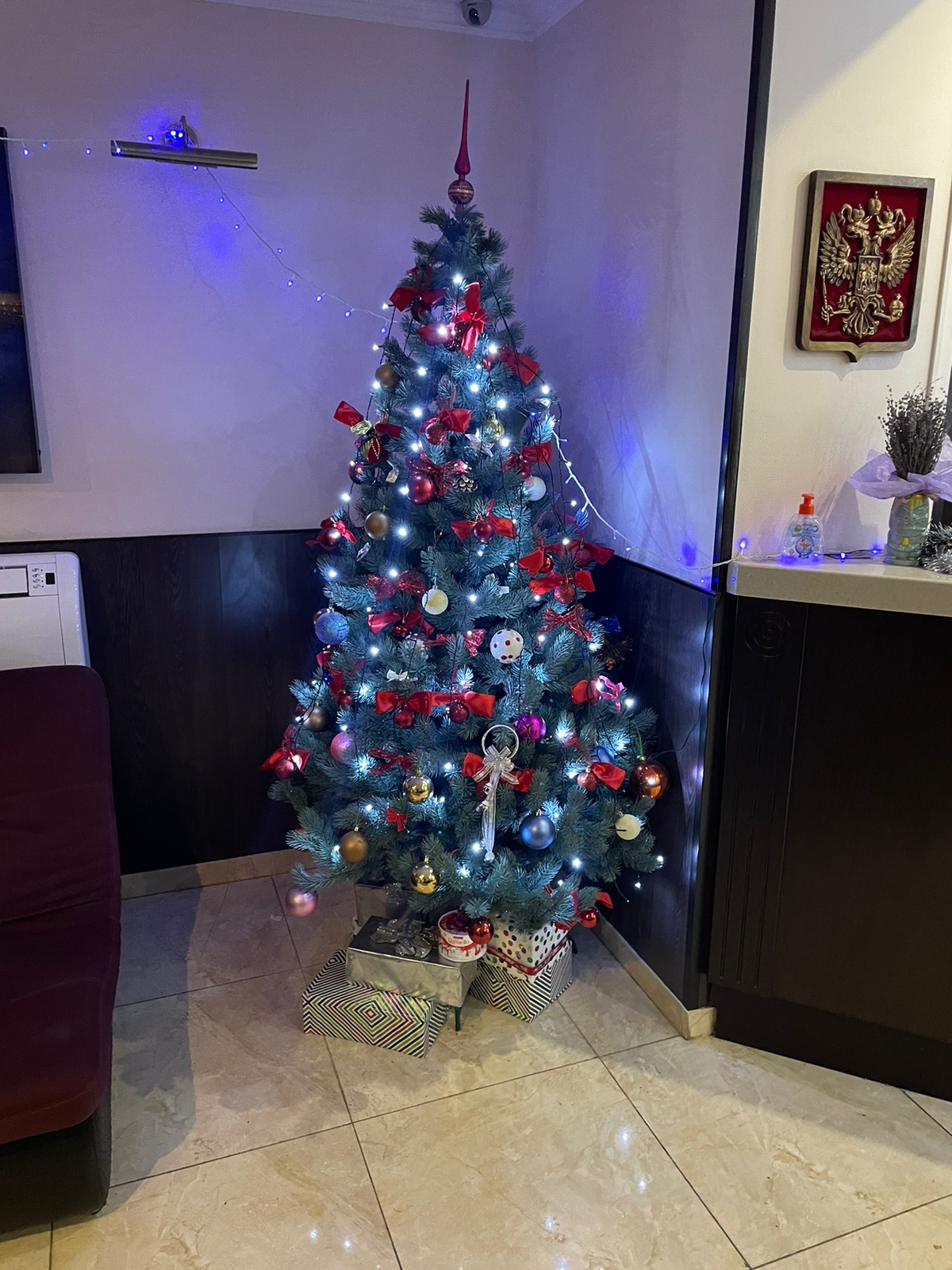 Фото Светлана Плюс