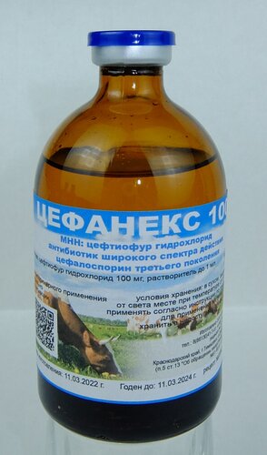 Ветеринарные препараты и оборудование Ветфарм, Тимашевск, фото