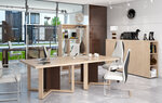 Noviy-Ofis (Belokamennoe Highway, вл10/2) ، أثاث المكاتب