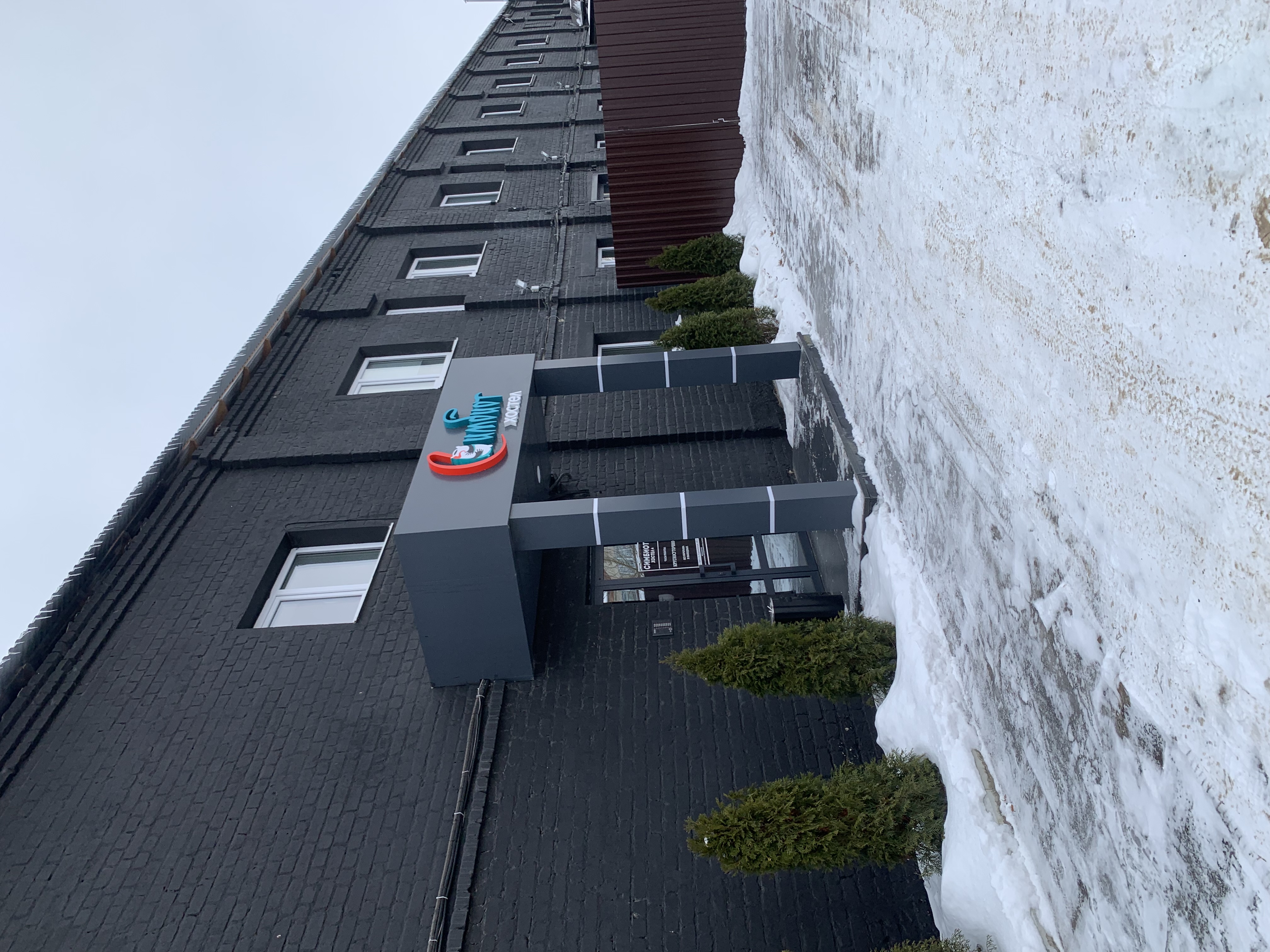 Фото Симбиот