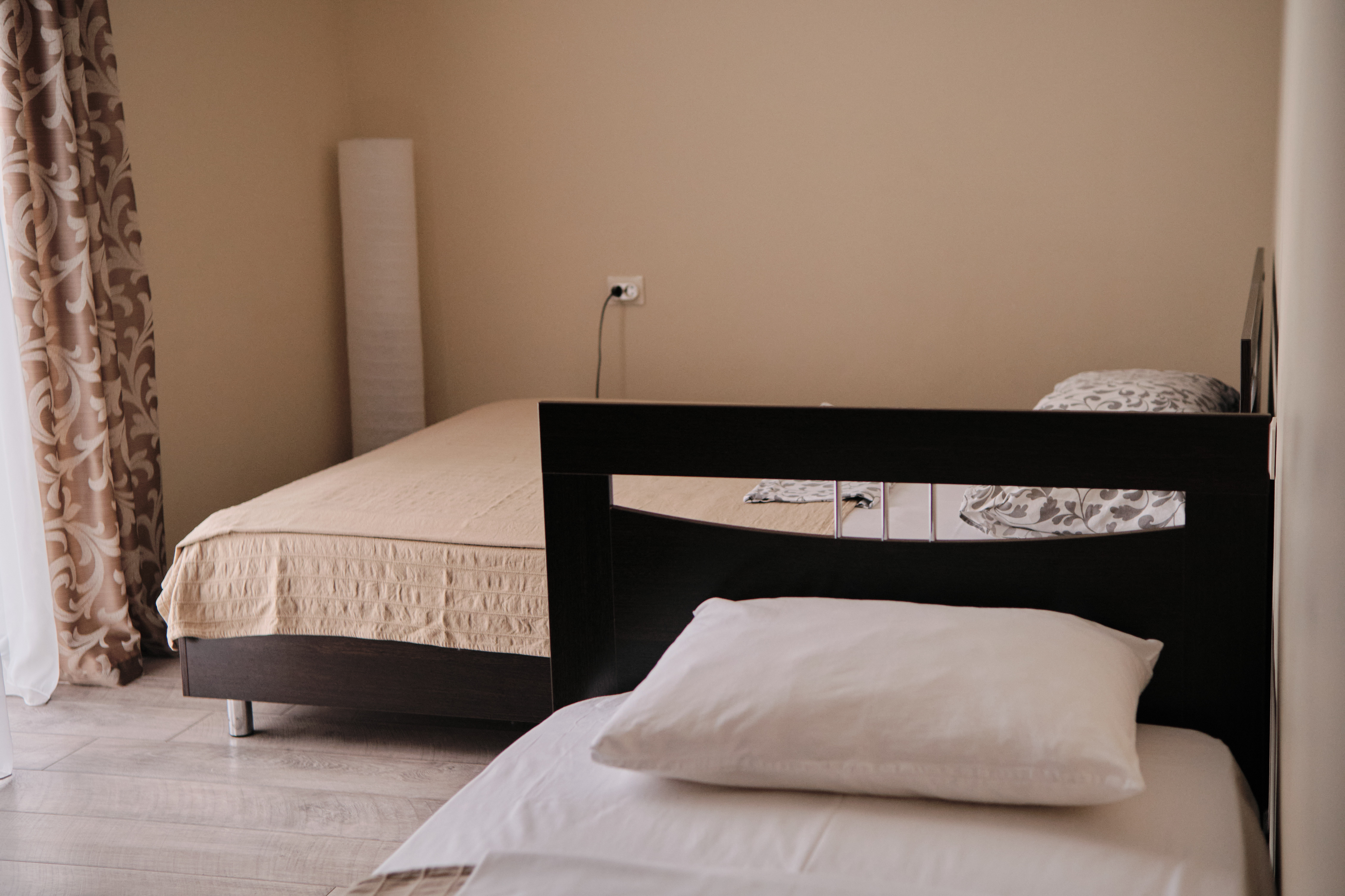 Фото Солнечная орхидея