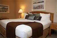 Фото RiverTree Inn & Suites